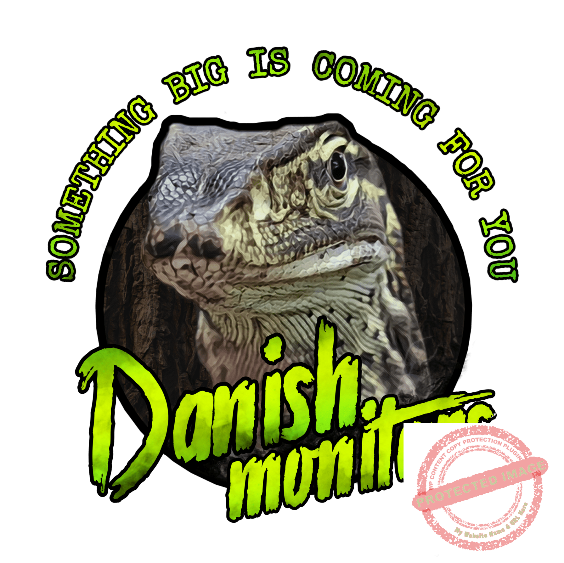 Danish Monitors